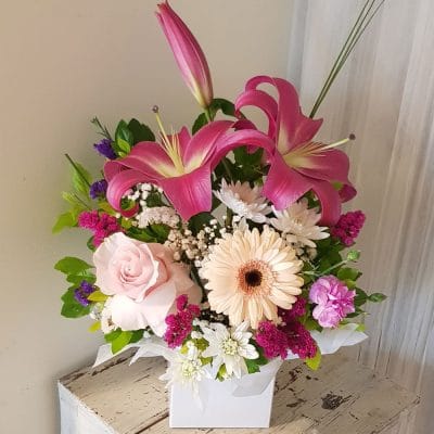 Saf Flower Box Lily